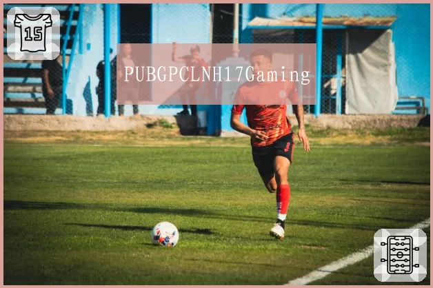 PUBGPCLNH17Gaming