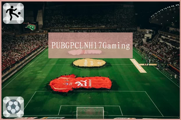 PUBGPCLNH17Gaming