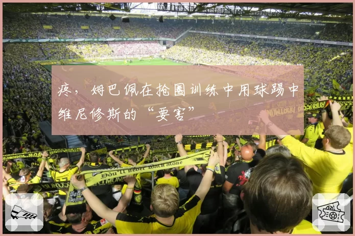 疼，姆巴佩在抢圈训练中用球踢中维尼修斯的“要害”