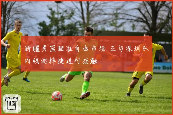 新疆男篮瞄准自由市场 正与深圳队内线沈梓捷进行接触