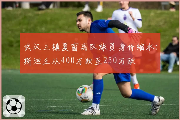 武汉三镇夏窗离队球员身价缩水:斯坦丘从400万跌至250万欧