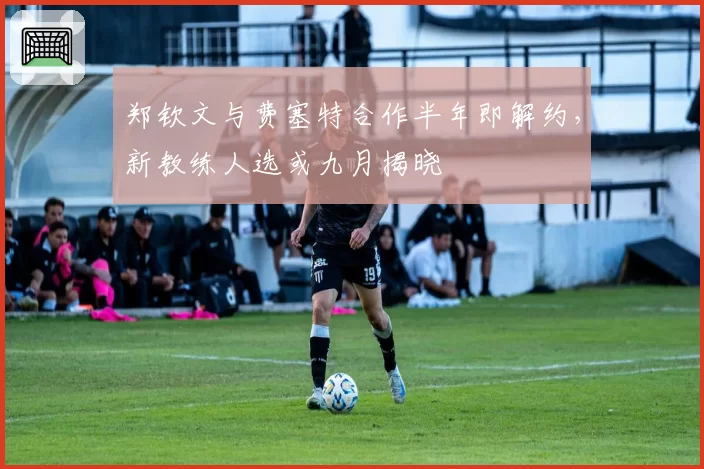 郑钦文与费塞特合作半年即解约，新教练人选或九月揭晓